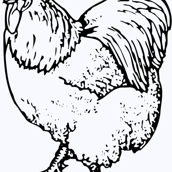 CHICK003 Thumbnail