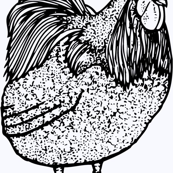 CHICK014 Thumbnail