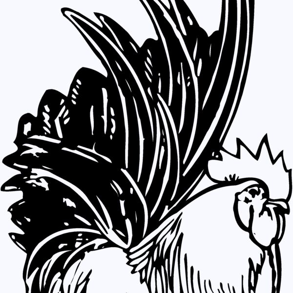 CHICK015 Thumbnail