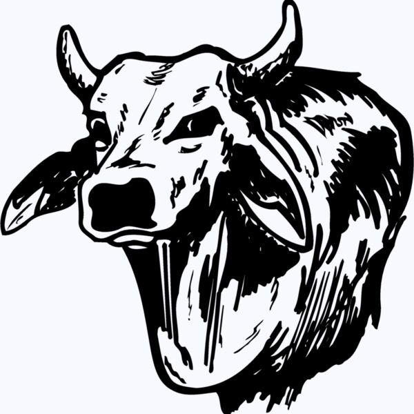 COW005 Thumbnail