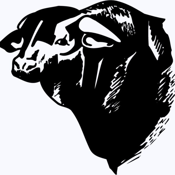 COW007 Thumbnail
