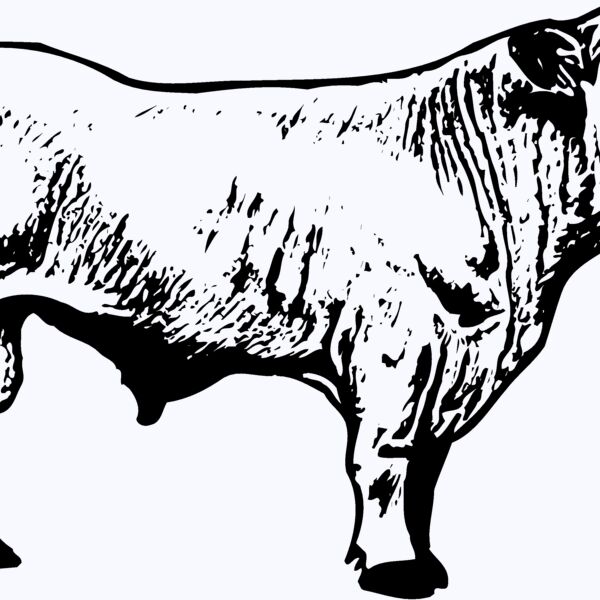 COW023 Thumbnail