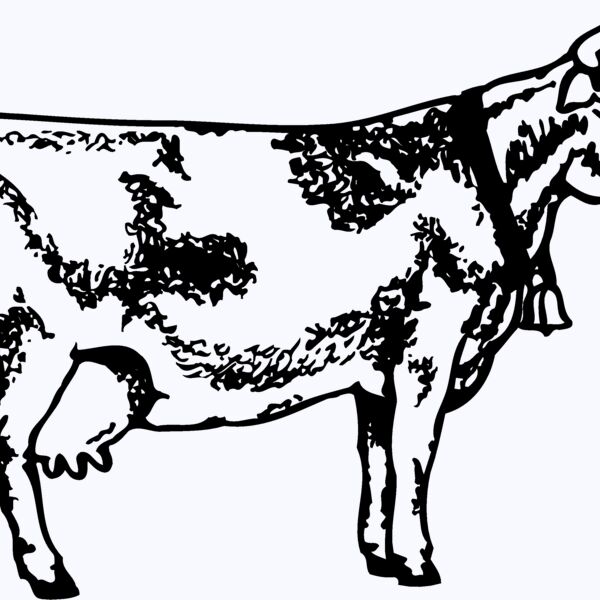 COW031 Thumbnail