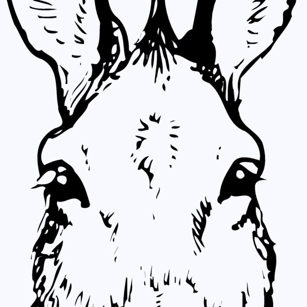 BURRO008 Thumbnail