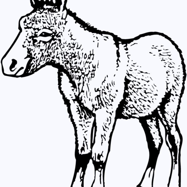 BURRO009 Thumbnail