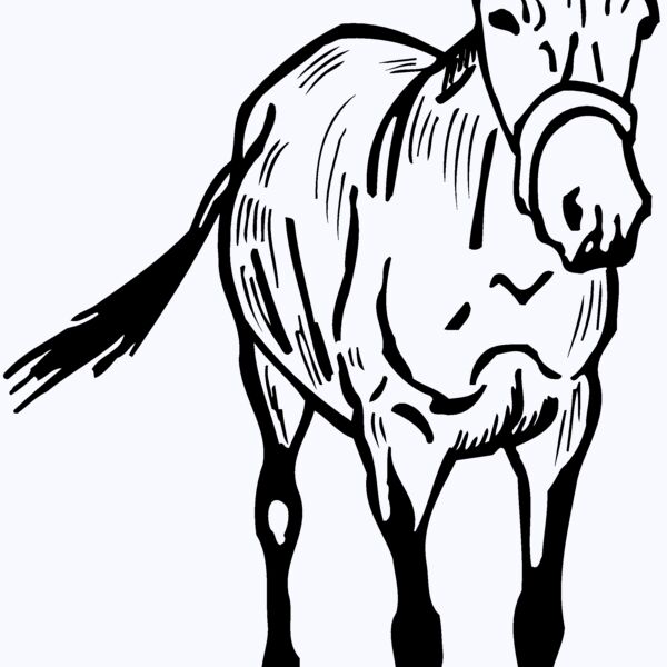 BURRO010 Thumbnail