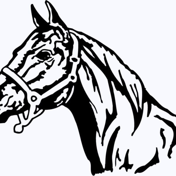 HORSE001 Thumbnail