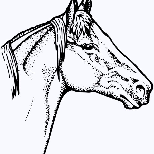 HORSE010 Thumbnail