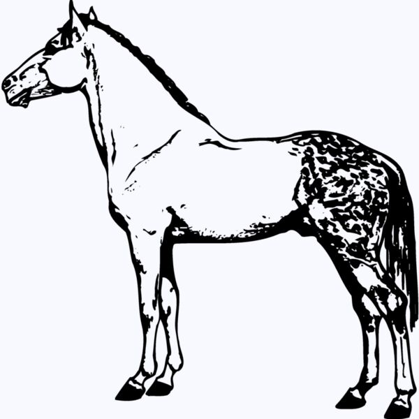 HORSE031 Thumbnail
