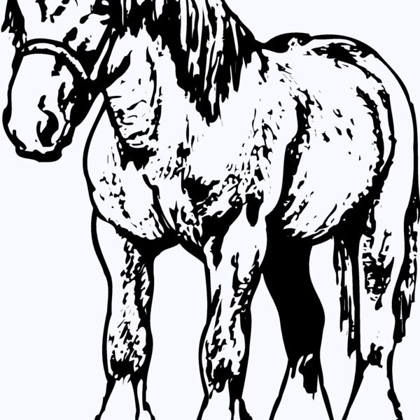HORSE035 Thumbnail