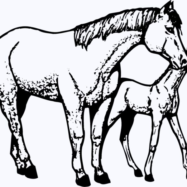 HORSE039 Thumbnail