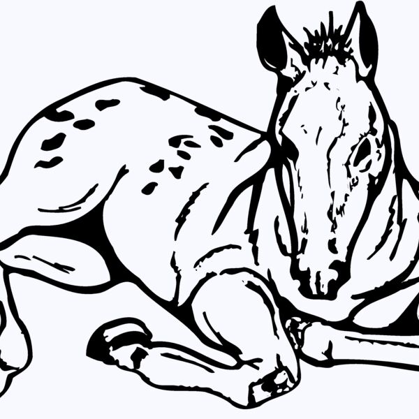 HORSE042 Thumbnail