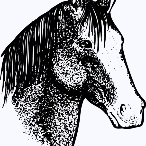 HORSE046 Thumbnail