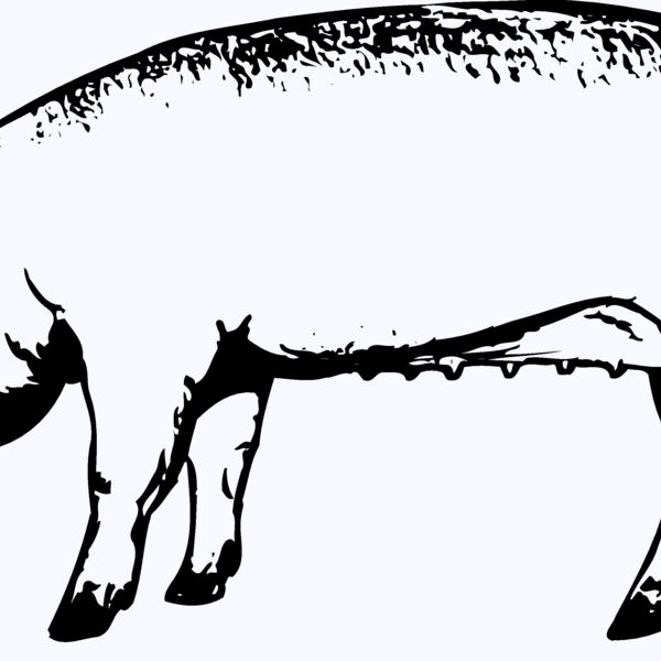 SOW0001 Thumbnail