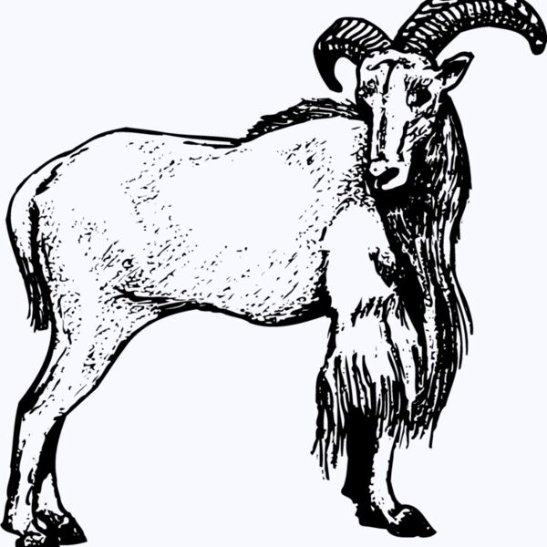 RAM001 Thumbnail
