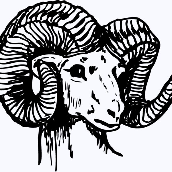 RAM003 Thumbnail