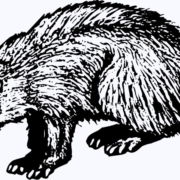 BADGER01 Thumbnail