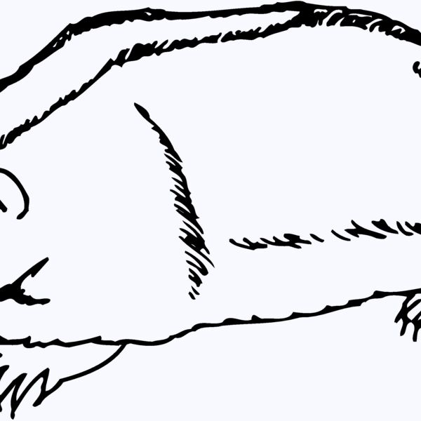 BADGER06 Thumbnail