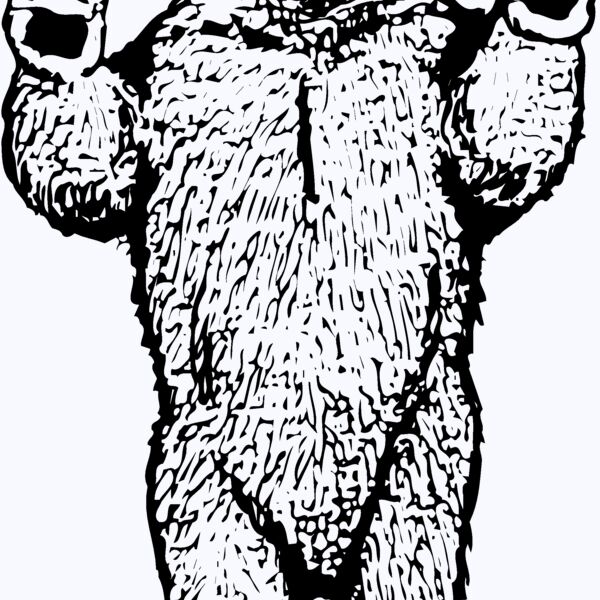 BEAR009 Thumbnail