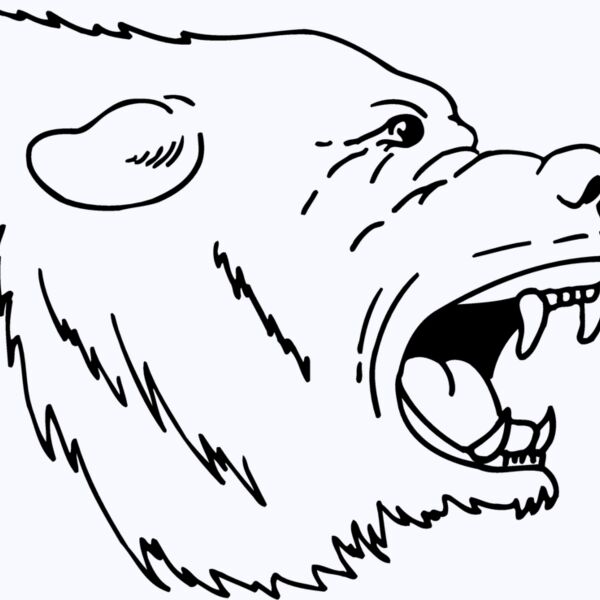BEAR022 Thumbnail