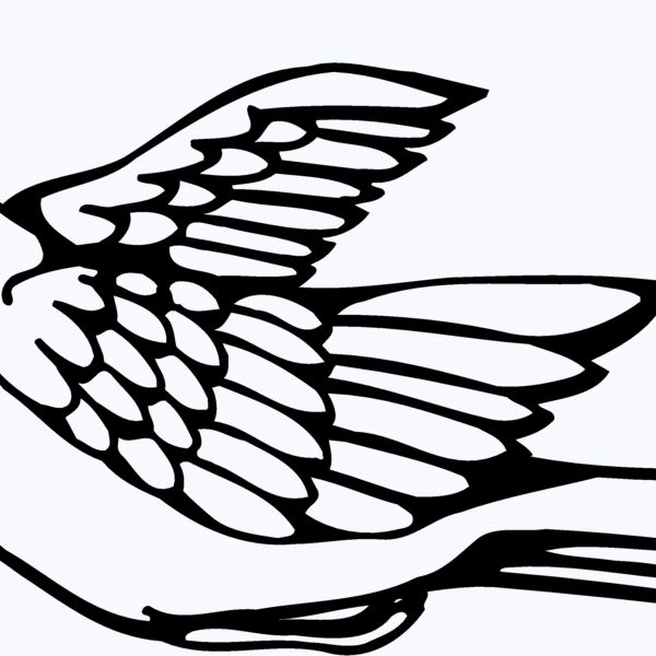 BIRD012 Thumbnail