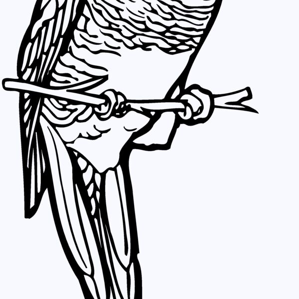 BIRD013 Thumbnail