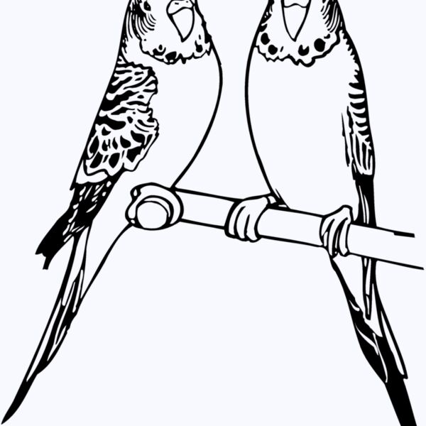BIRD014 Thumbnail