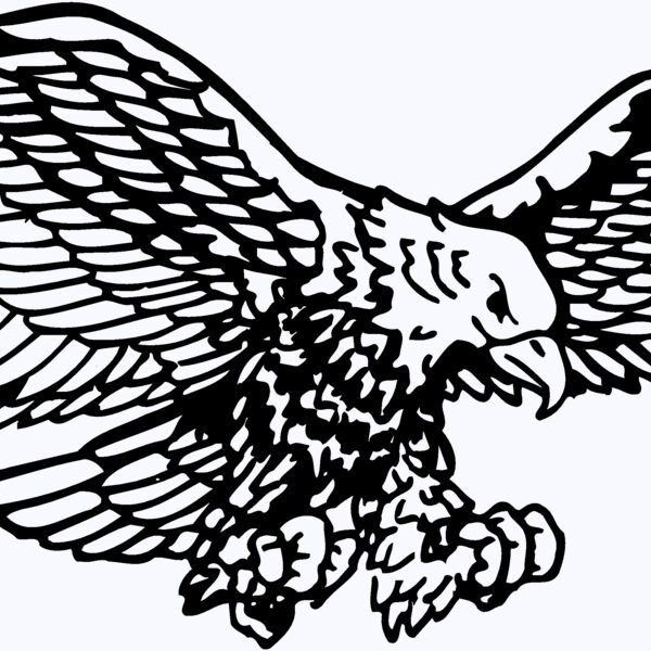 EAGLE003 Thumbnail