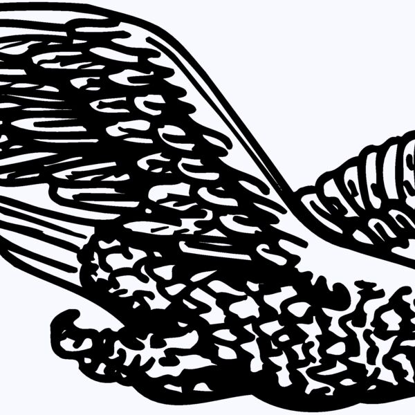 EAGLE006 Thumbnail