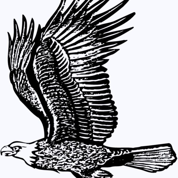 EAGLE012 Thumbnail