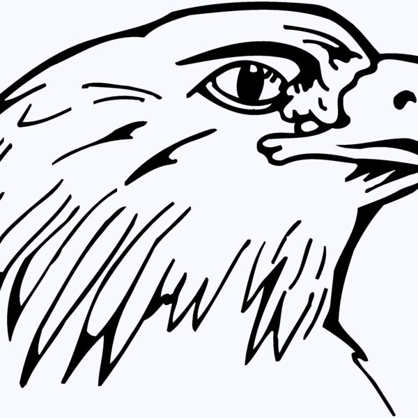 EAGLE014 Thumbnail
