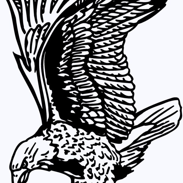 EAGLE020 Thumbnail