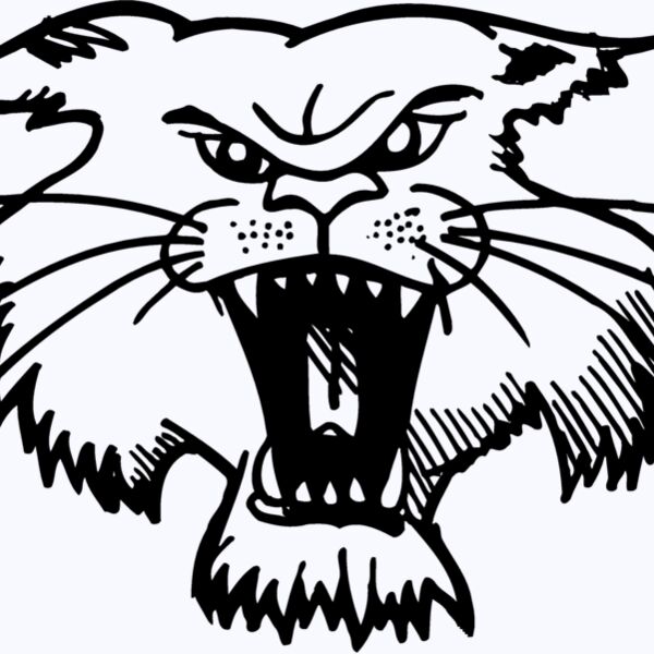 CAT01 Thumbnail