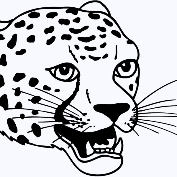 CAT14 Thumbnail