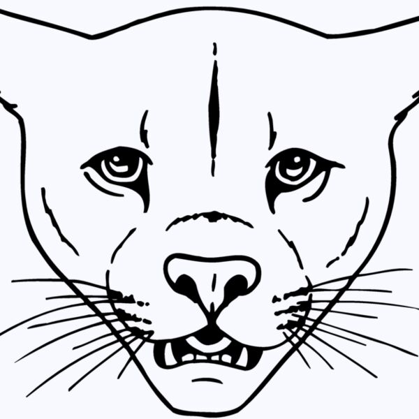 CAT16 Thumbnail