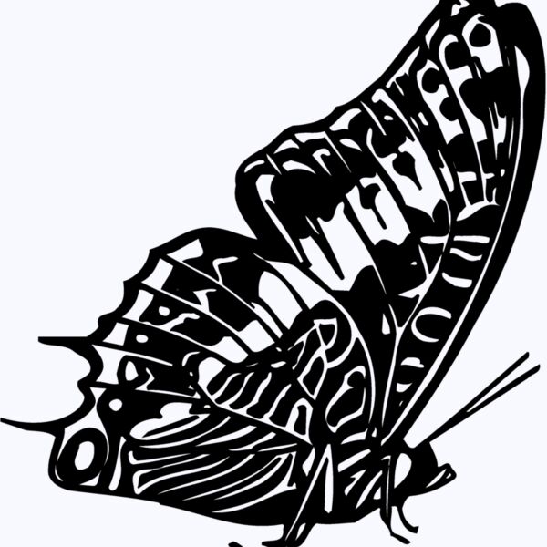BTRFLY02 Thumbnail