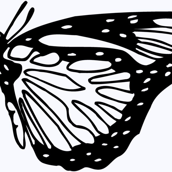BTRFLY03 Thumbnail