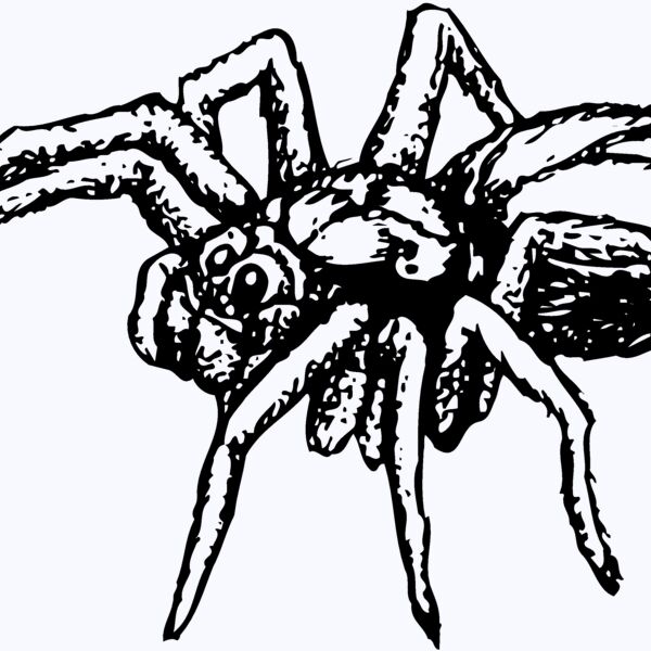 SPIDER04 Thumbnail