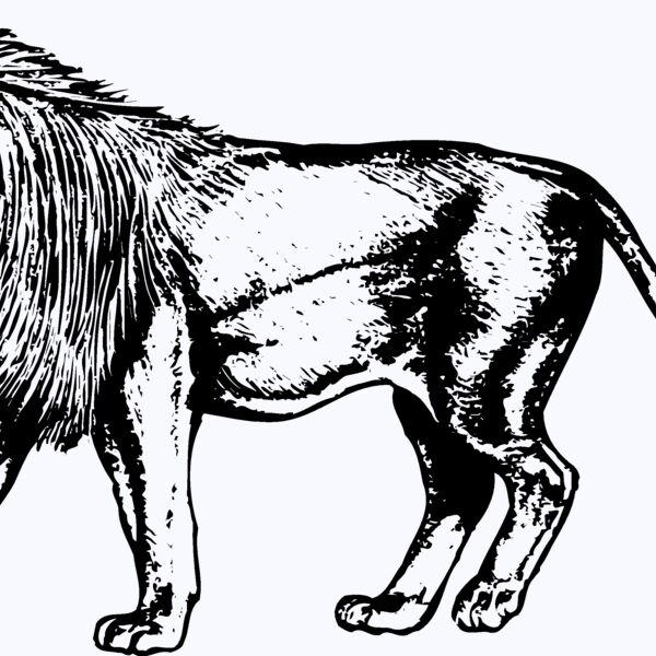 LION003 Thumbnail