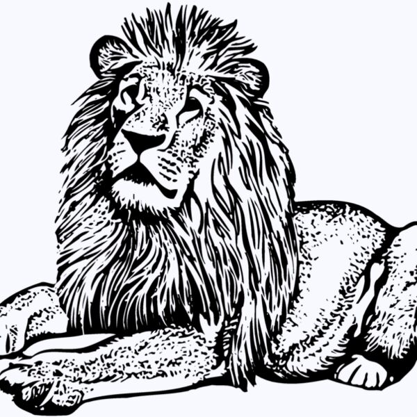 LION004 Thumbnail