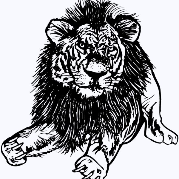 LION005 Thumbnail