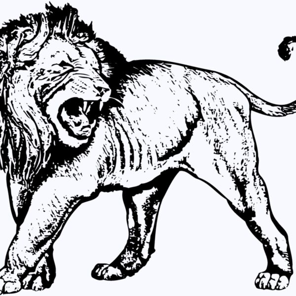 LION007 Thumbnail