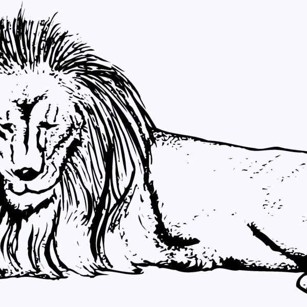LION008 Thumbnail