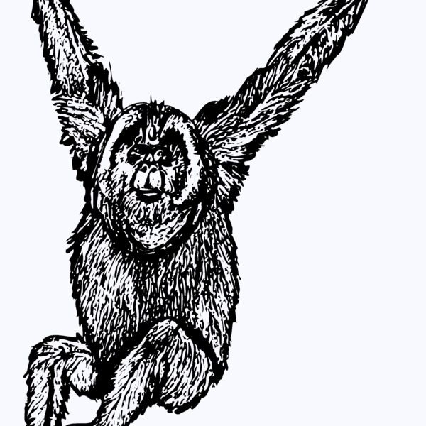 MONK005 Thumbnail