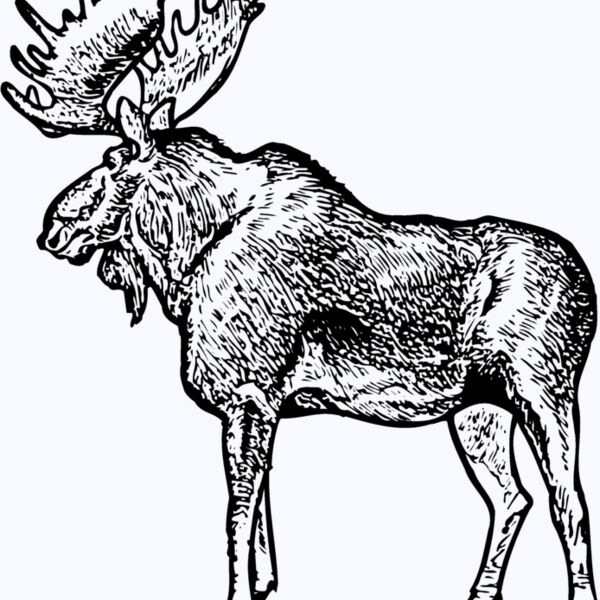 MOOSE004 Thumbnail