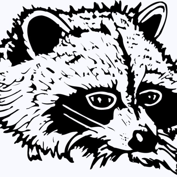 COON004 Thumbnail