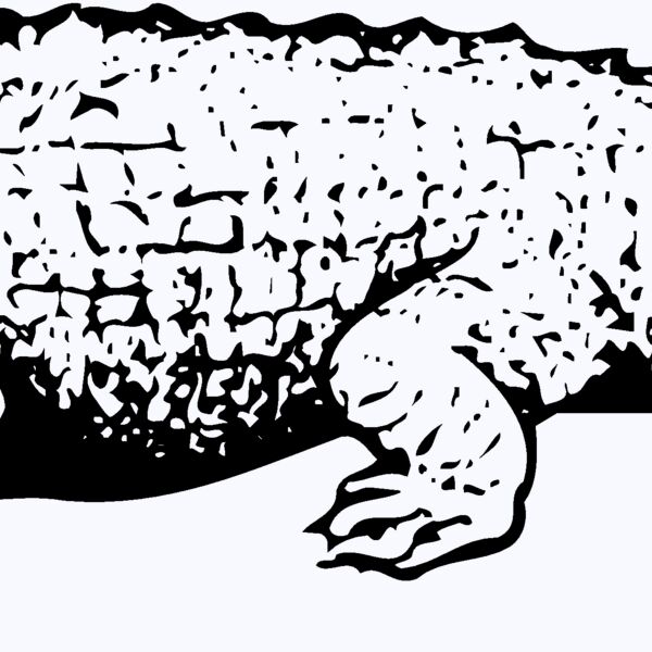 CROC03 Thumbnail