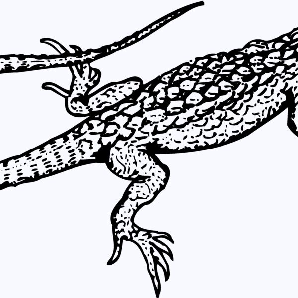 LIZARD01 Thumbnail