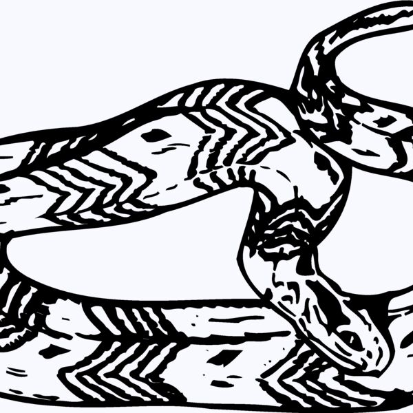 SNAKE002 Thumbnail