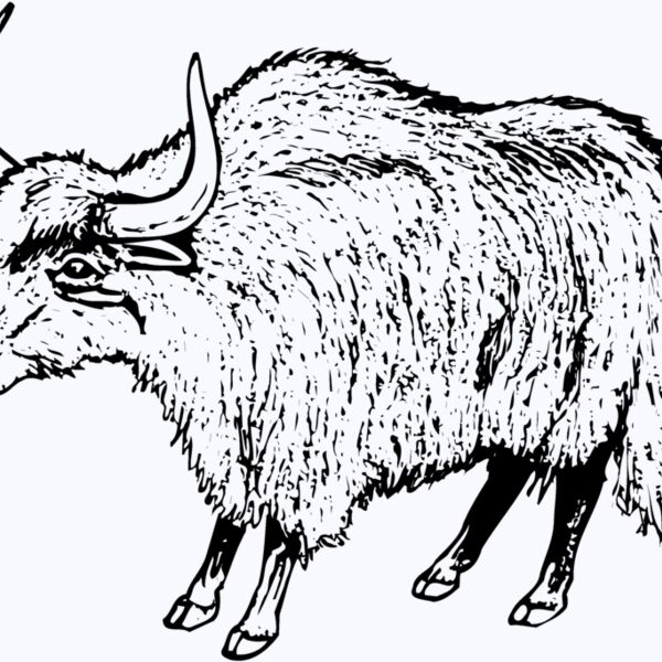 WBUFF004 Thumbnail